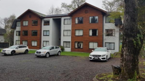 Отель Apartamento en Pucon  Пукон